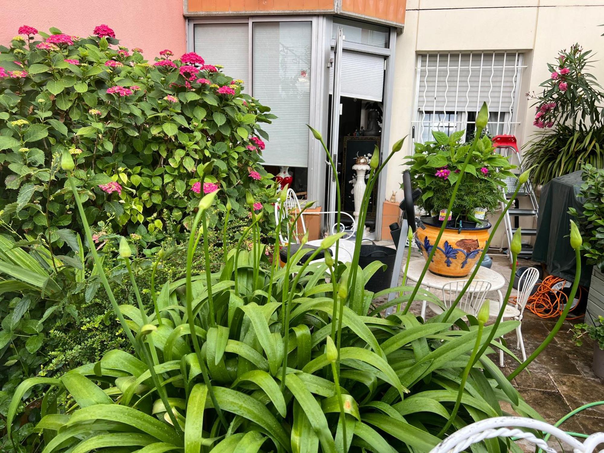 Apparemment Blagnac Proche Tram Apartamento Exterior foto